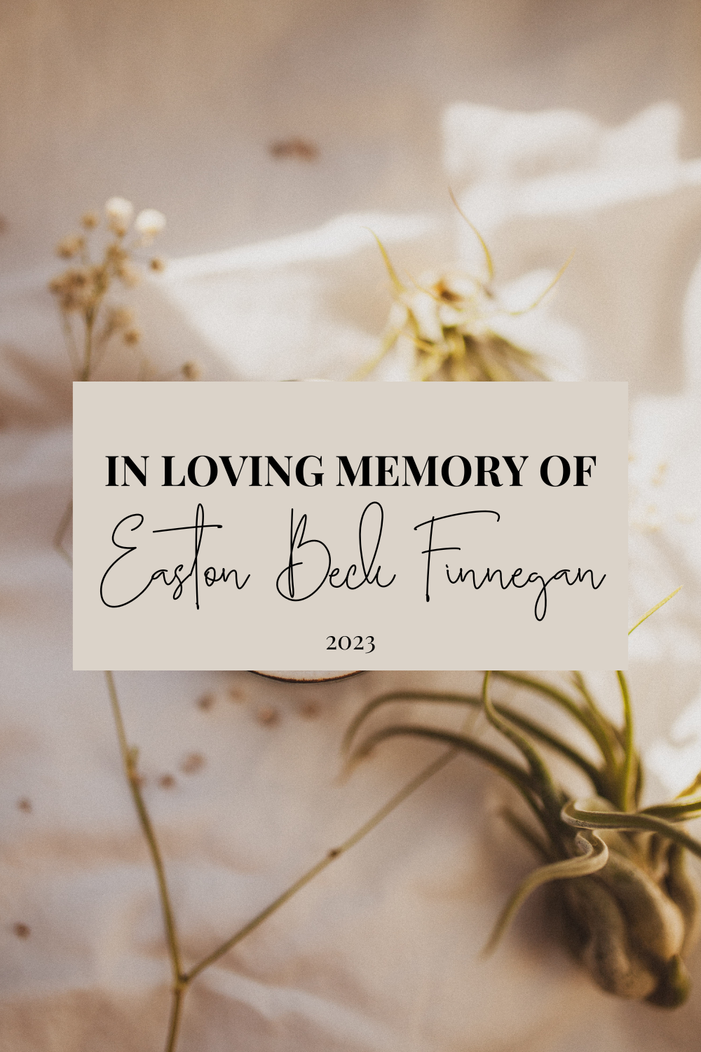 In Loving Memory of Easton Beck Finnegan